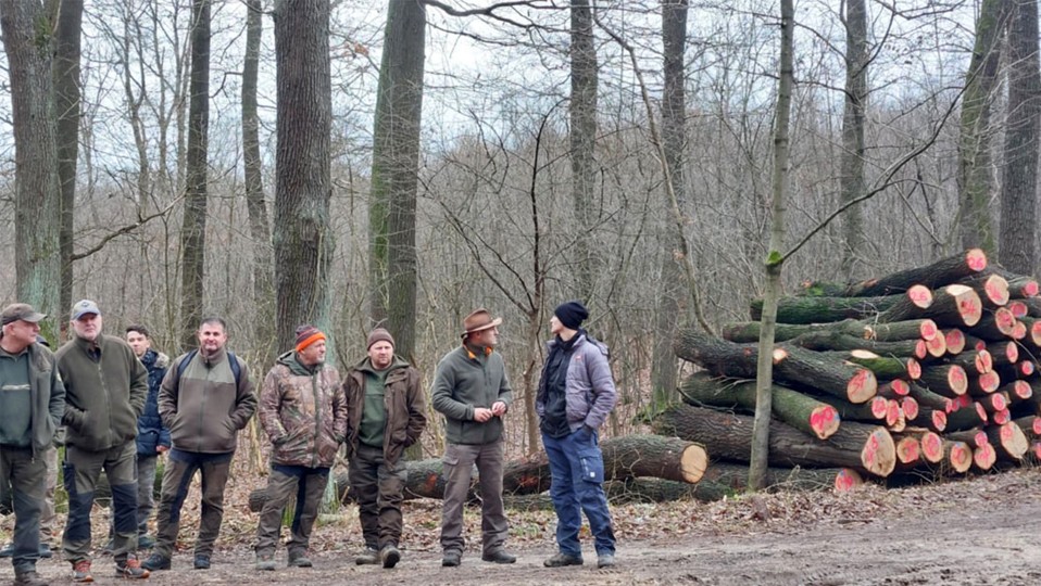 Nagy méretű és különleges helyzetű fák döntése