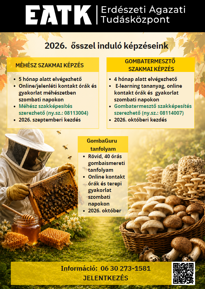 2026. őszén induló felnőttképzéseink