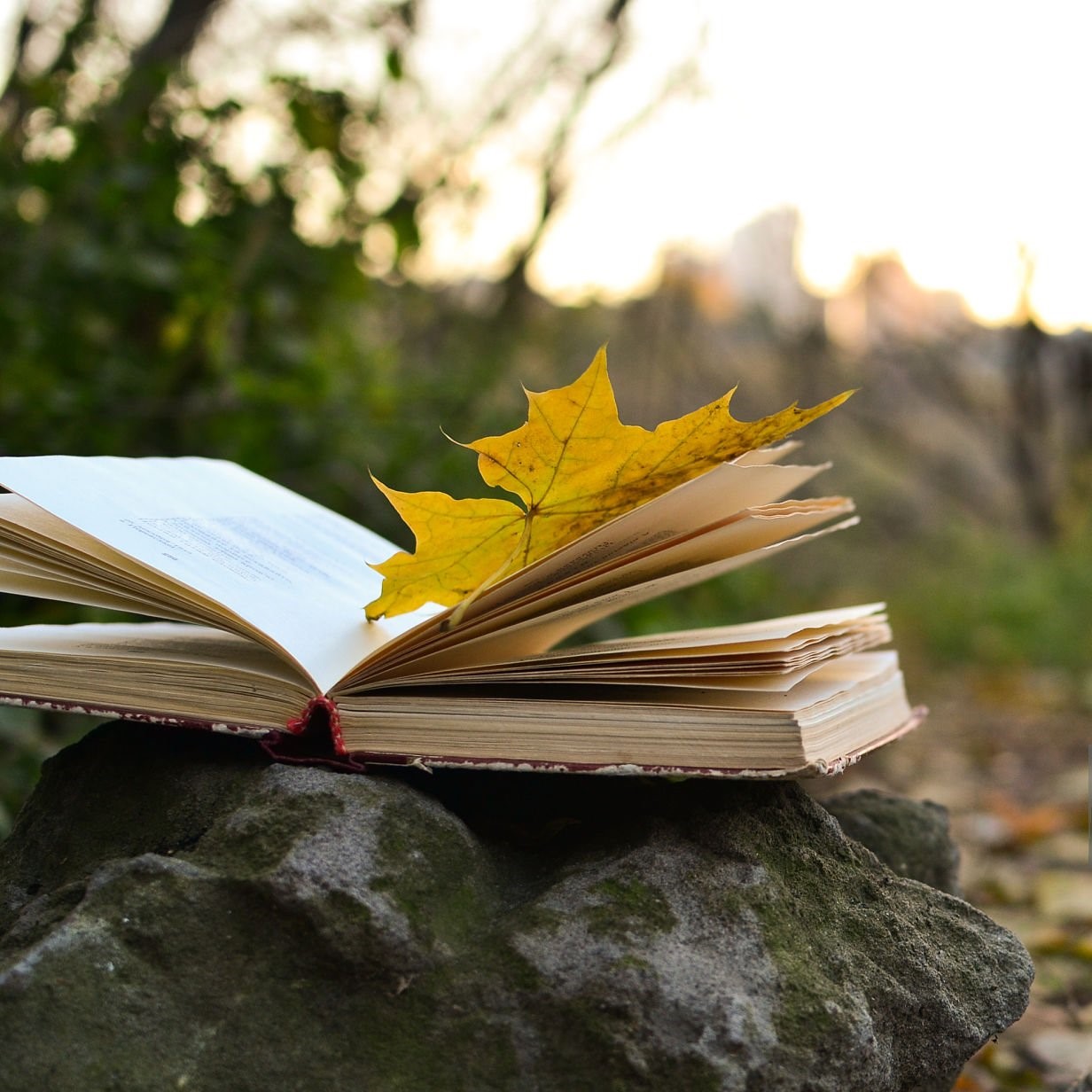 Bemutató üzemi programok