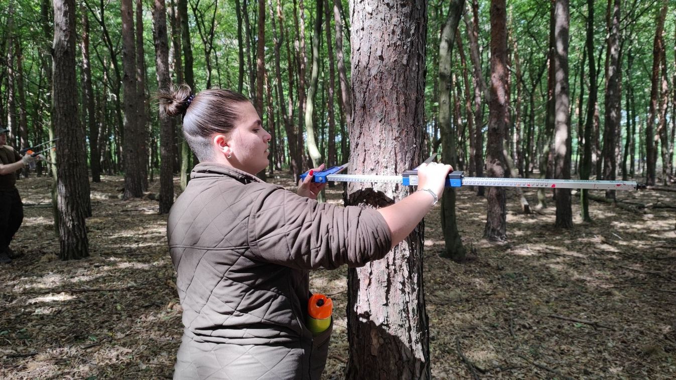 Erdészeti gyakorlat a Szombathelyi Erdészeti Zrt.-nél