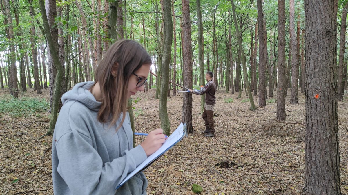 Erdészeti gyakorlat a Szombathelyi Erdészeti Zrt.-nél