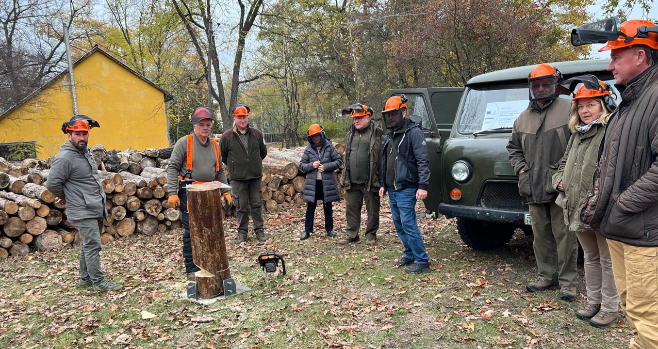 Méretes fák irányított döntése