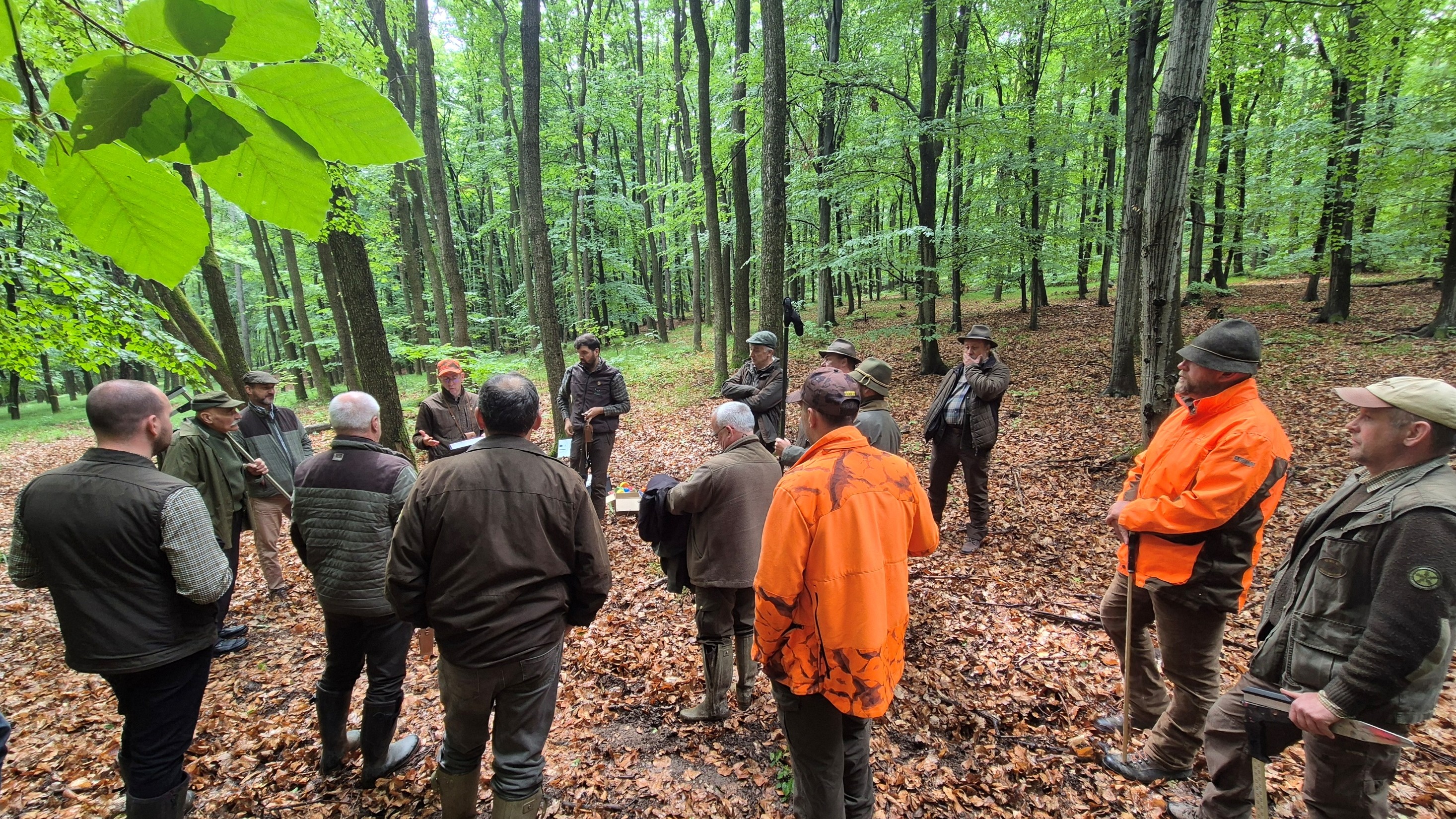 Legjobb gyakorlatok az örökerdő gazdálkodásban