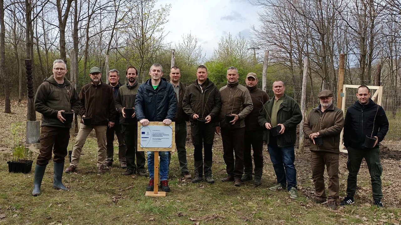 Szaporítóanyag-gyűjtés és -kezelés